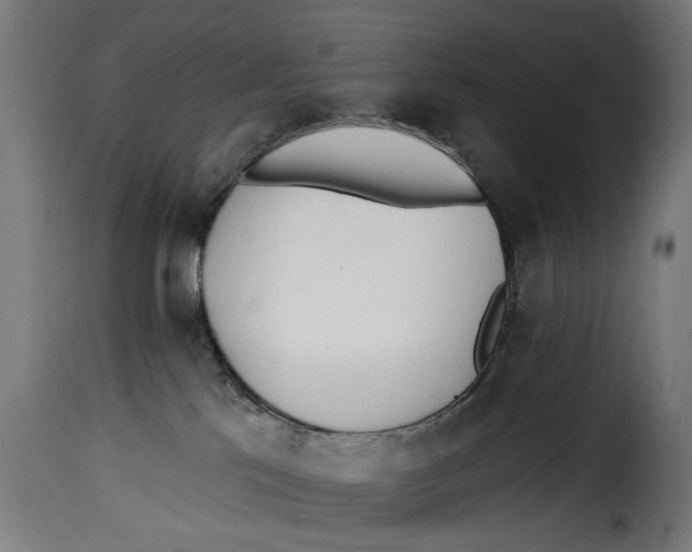 X0000115250041200911201652