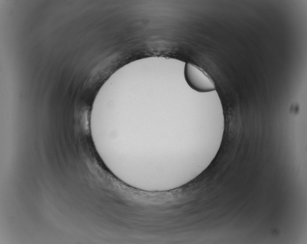 X0000115250042200911201652