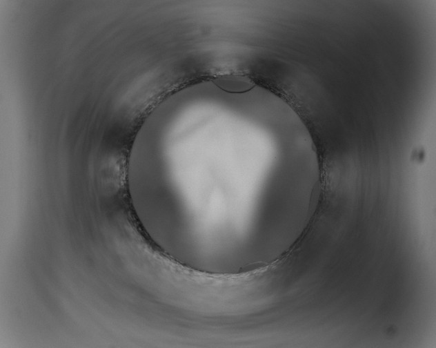 X0000115250043200911201652