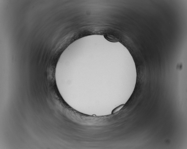 X0000115250044200911201652