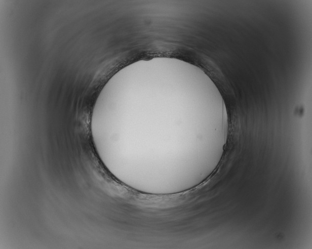 X0000115250045200911201652