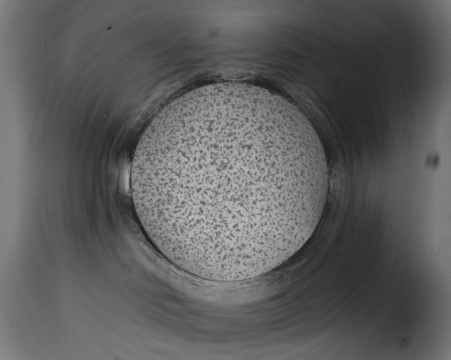 X0000115250046200911201652