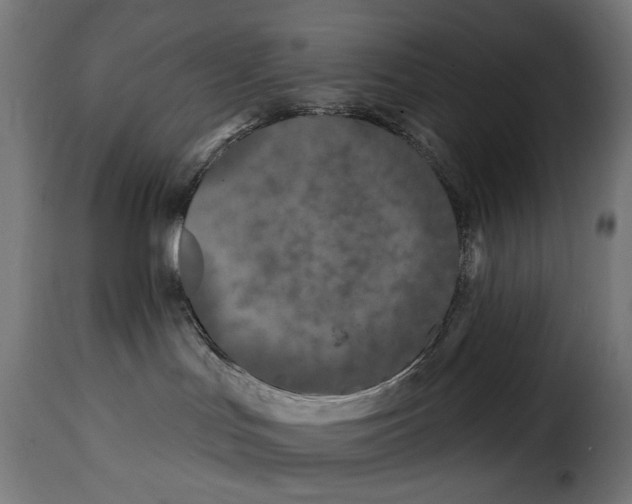 X0000115250047200911201652