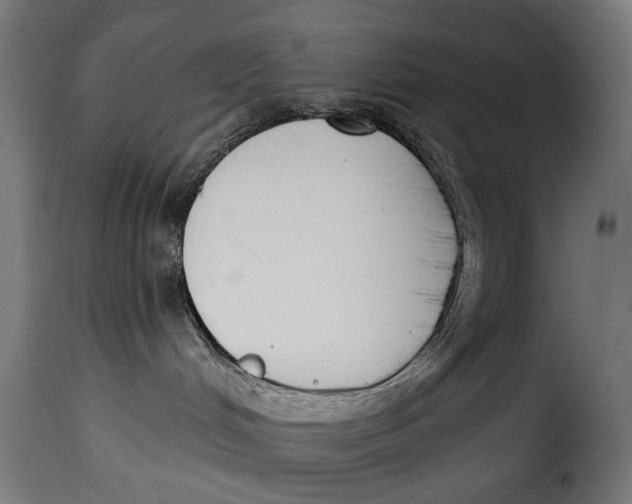 X0000115250048200911201652