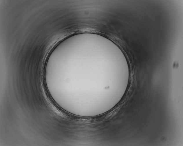 X0000115250049200911201652