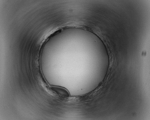 X0000115250050200911201652