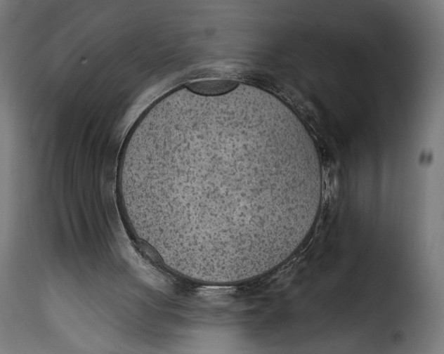 X0000115250051200911201652