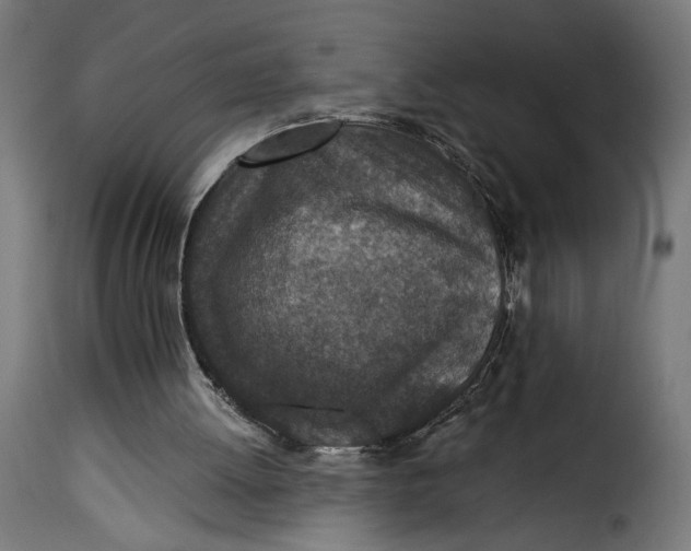 X0000115250052200911201652