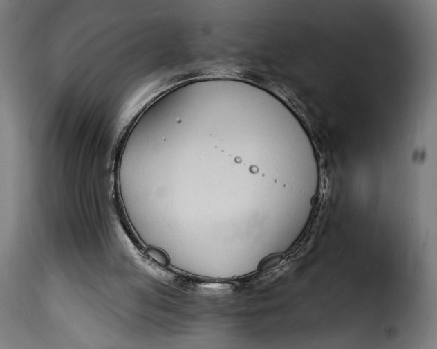 X0000115250053200911201652