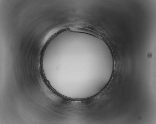 X0000115250054200911201652