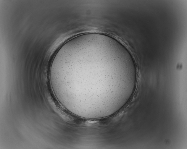 X0000115250055200911201652