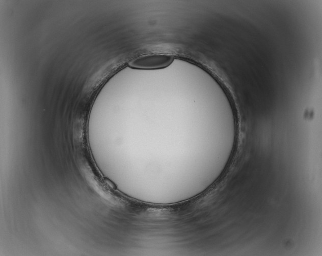 X0000115250057200911201652