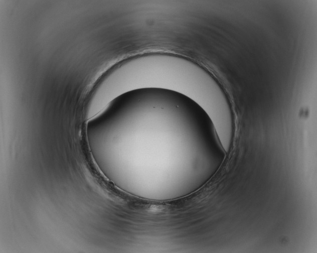 X0000115250060200911201652