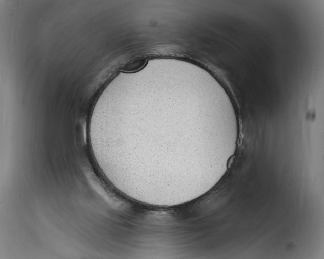 X0000115250061200911201652