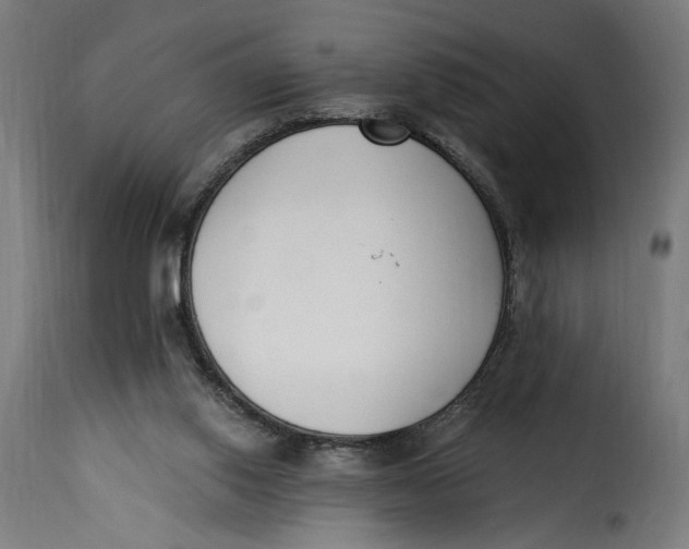 X0000115250062200911201652