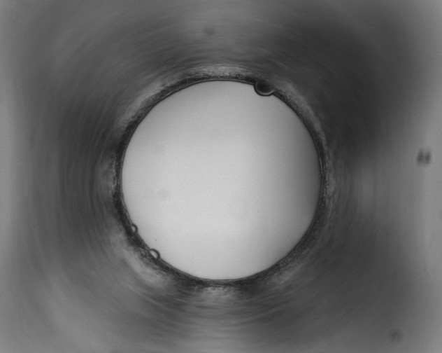 X0000115250063200911201652