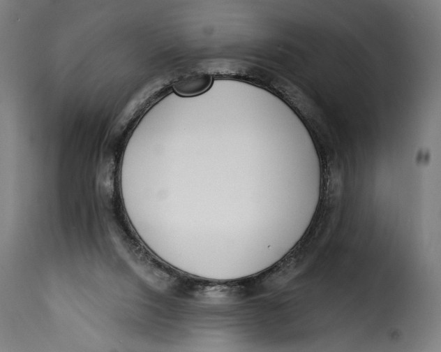 X0000115250064200911201652