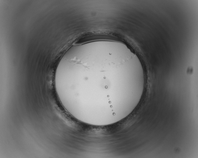 X0000115250065200911201652