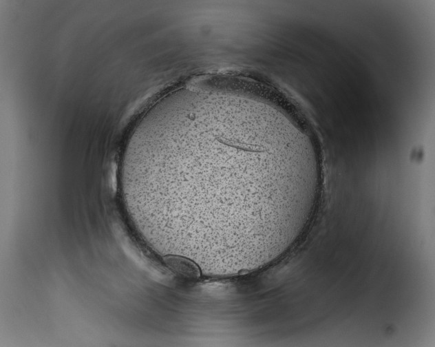 X0000115250067200911201652