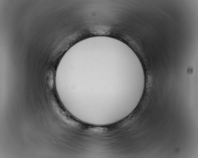 X0000115250069200911201652