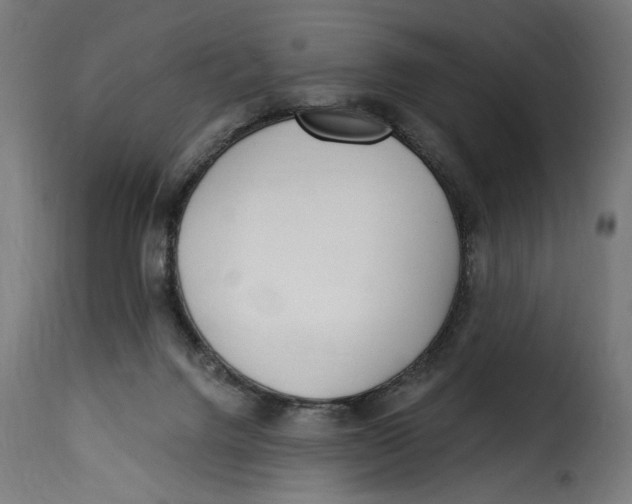 X0000115250072200911201652