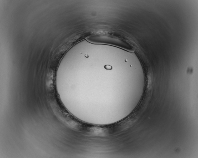 X0000115250073200911201652