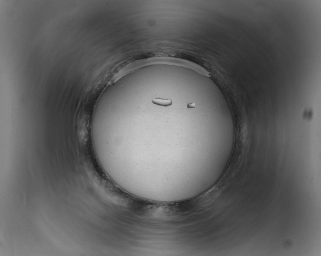 X0000115250074200911201652