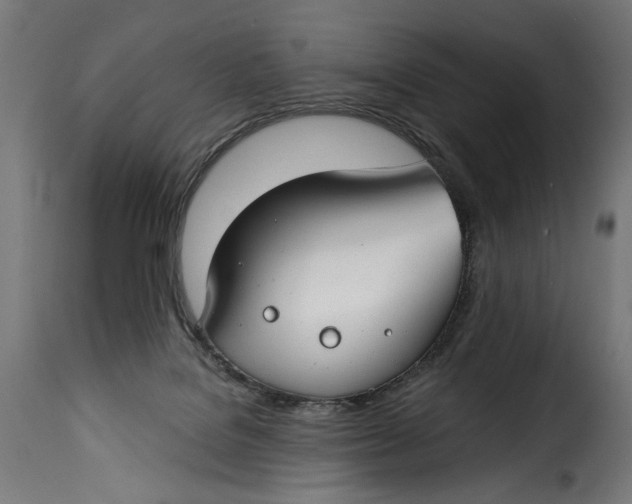 X0000115250076200911201652