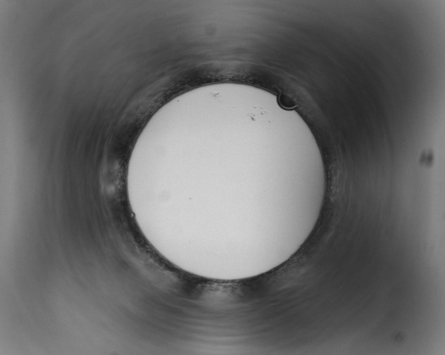 X0000115250077200911201652