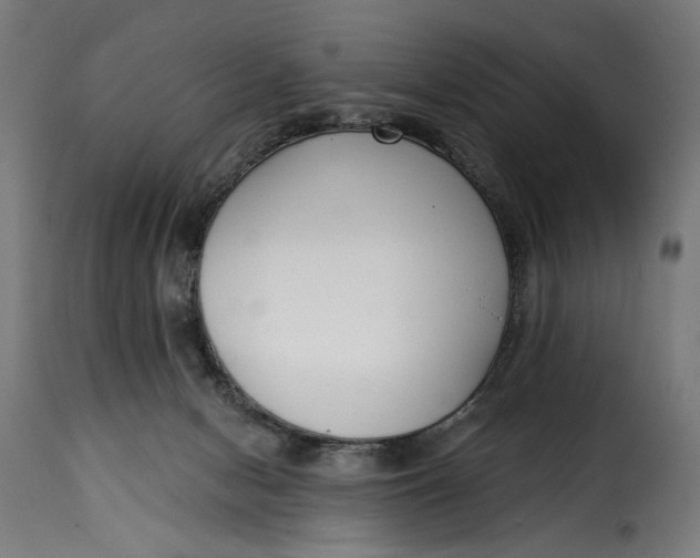 X0000115250078200911201652