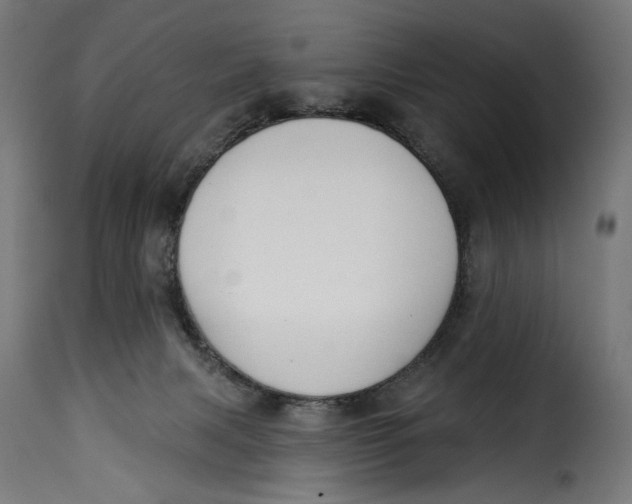 X0000115250079200911201652