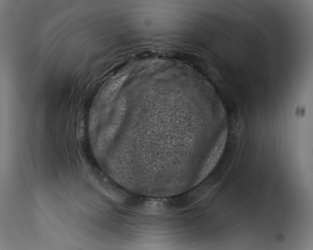 X0000115250080200911201652