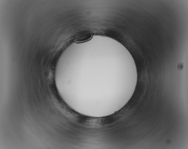 X0000115250084200911201652