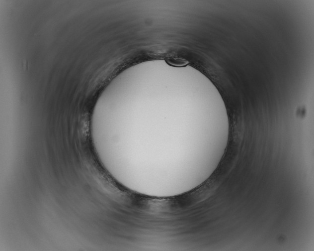 X0000115250085200911201652