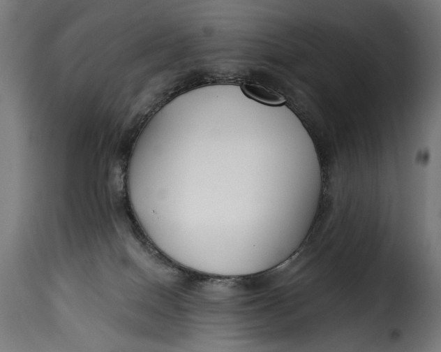 X0000115250086200911201652