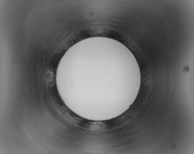 X0000115250087200911201652