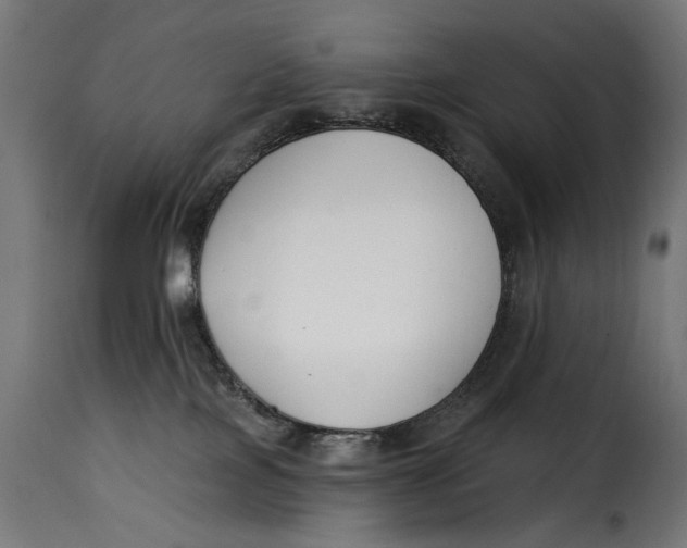 X0000115250089200911201652