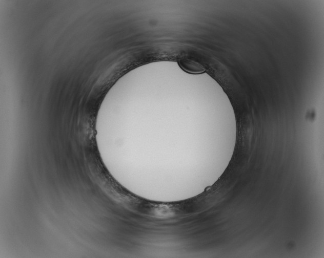 X0000115250091200911201652