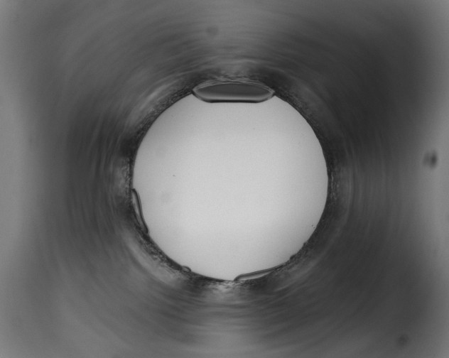 X0000115250092200911201652