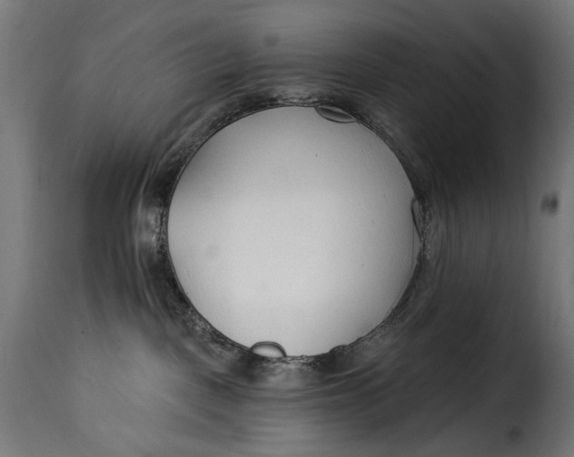 X0000115250093200911201652