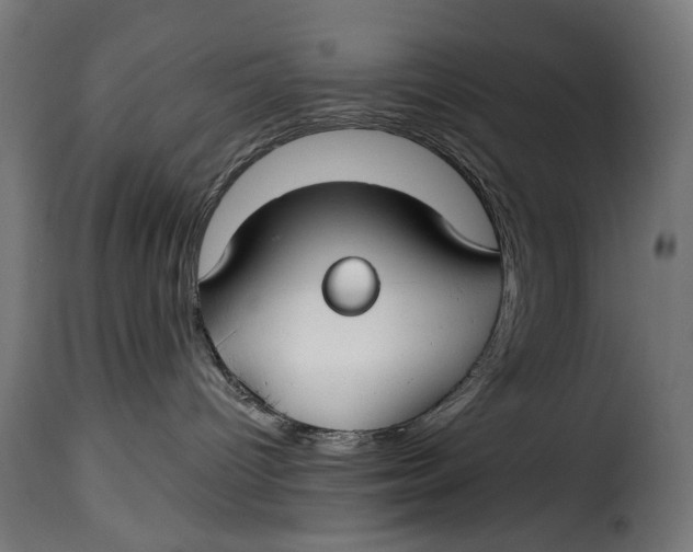 X0000115250096200911201652