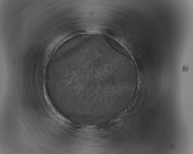 X0000115250097200911201652