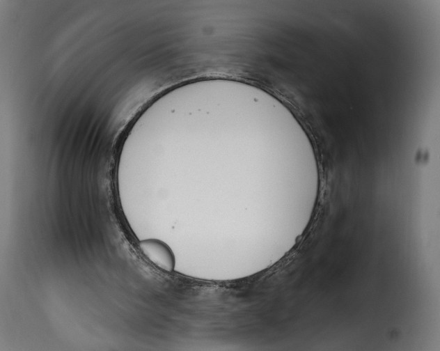 X0000115250098200911201652