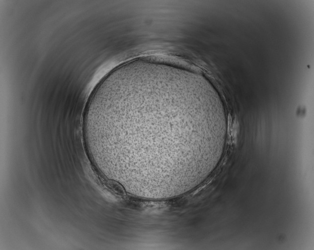 X0000115250099200911201652