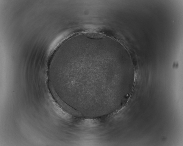 X0000115250101200911201651