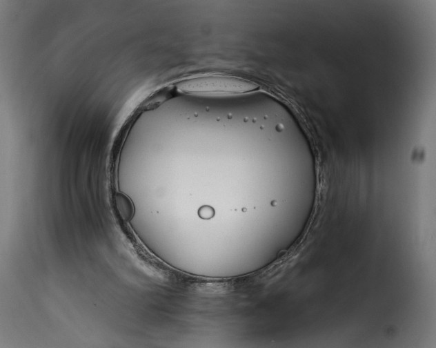 X0000115250102200911201651