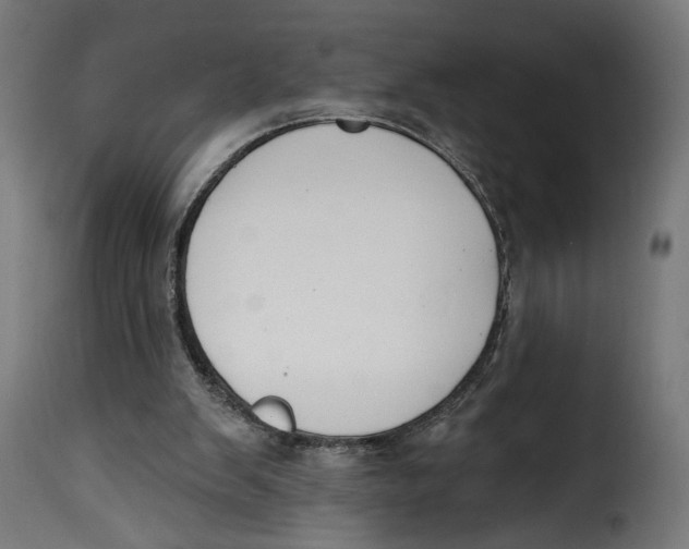 X0000115250103200911201651