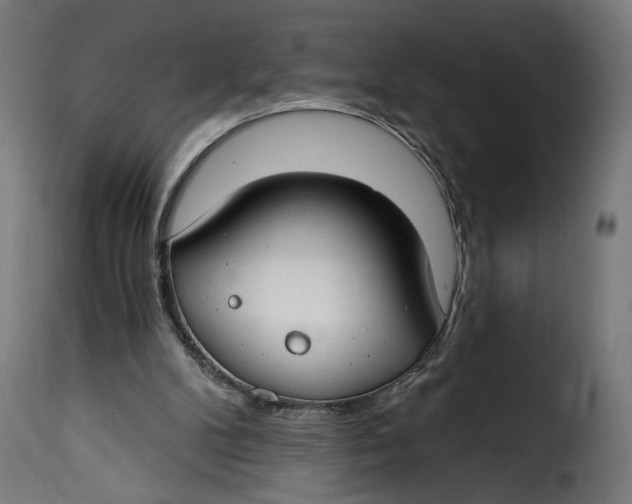 X0000115250104200911201651