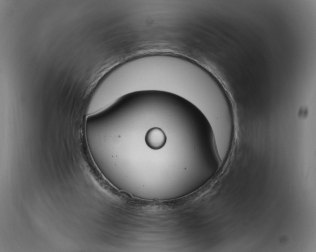 X0000115250105200911201651