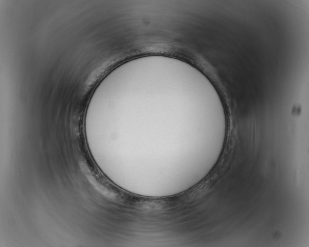 X0000115250106200911201651